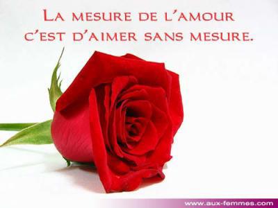 mes rose d'amour